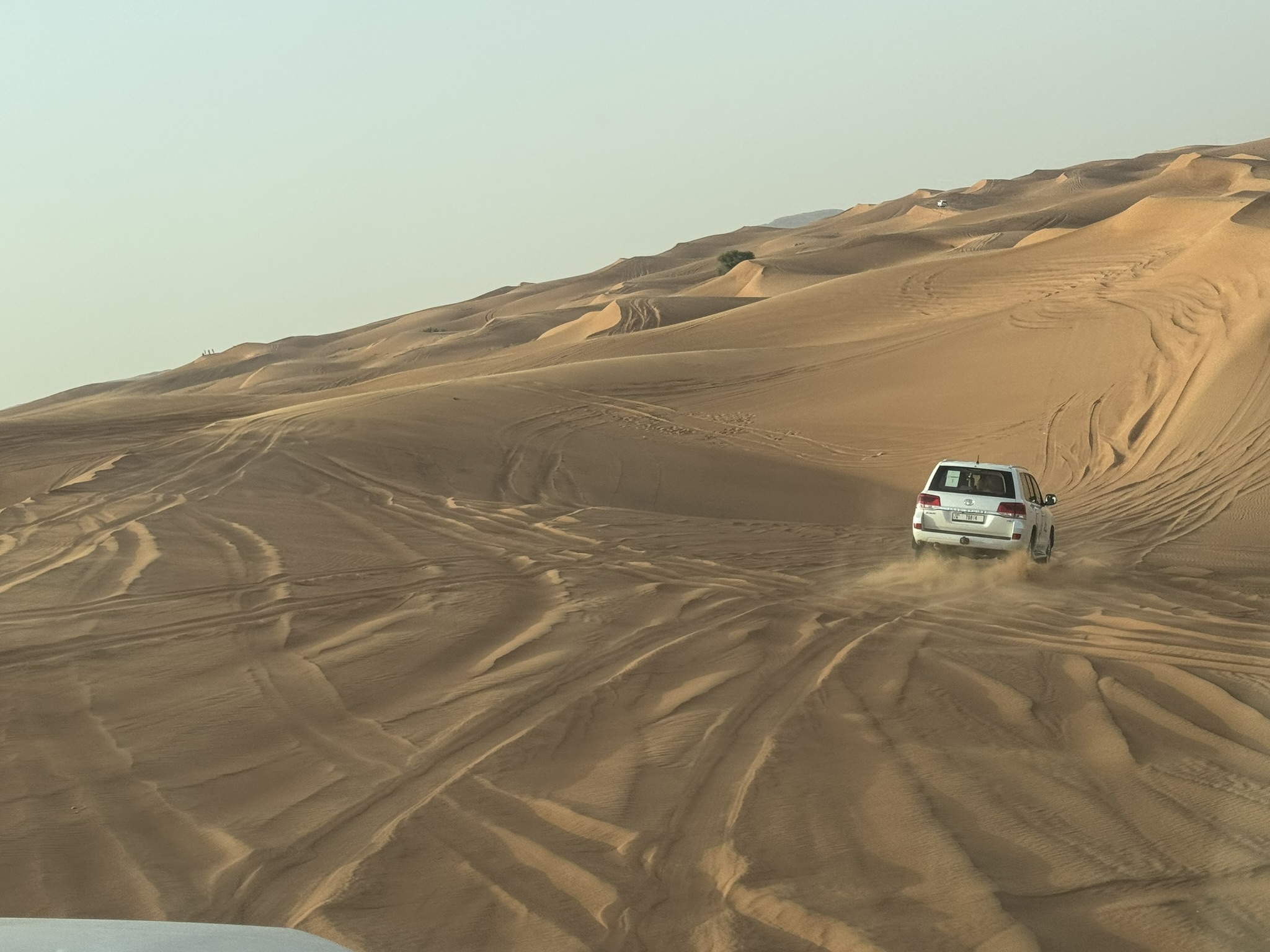 Abu Dhabi y Dubai, viajes en grupo guia de viaje itinerario