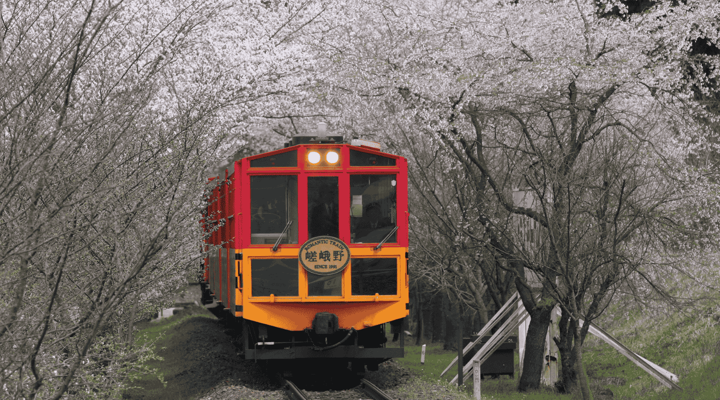 Kansai Area Pass de 4 días: Guía Paso a Paso para usarlo (2026)